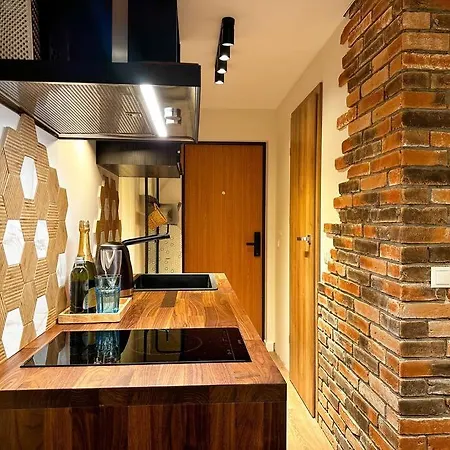 Apartment Redbrick Center V