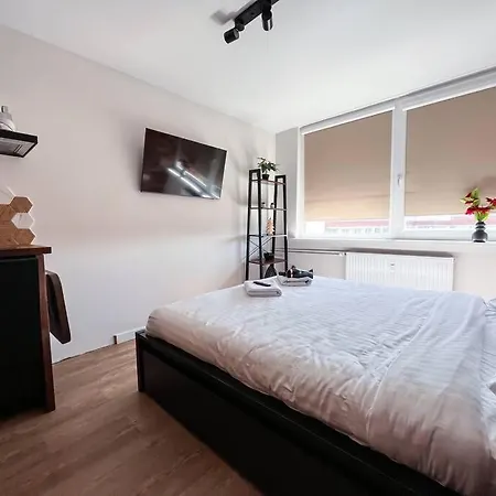 Apartment Redbrick Center V *